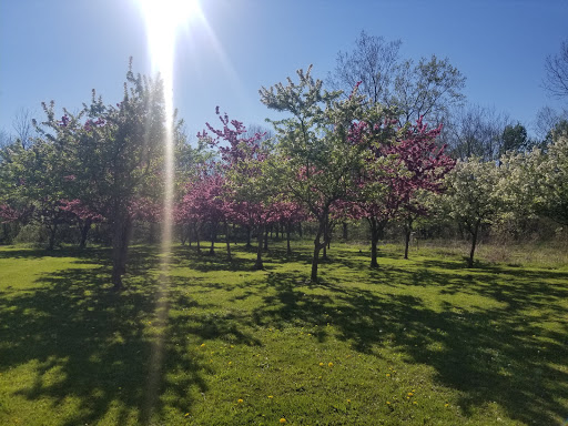 Charles E. Burchfield Nature & Art Center