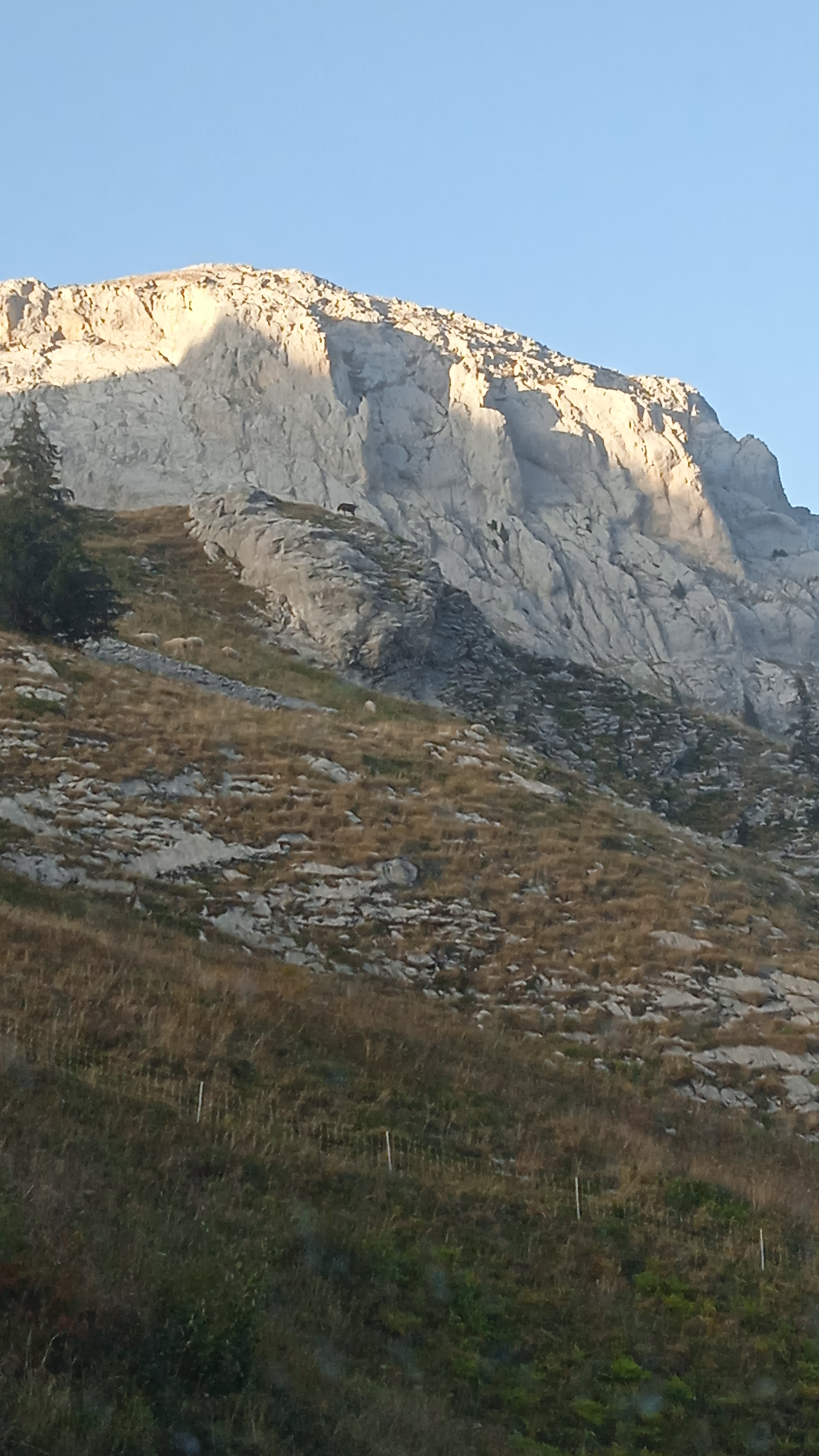 Photo n° 3 de l'avis de Mbak.o fait le 14/10/2023 à 00:24