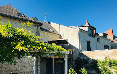 Rive de loire à Chouzé-sur-Loire