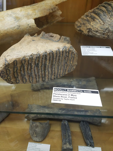 Natural History Museum «Rice Northwest Museum of Rocks & Minerals», reviews and photos, 26385 NW Groveland Dr, Hillsboro, OR 97124, USA