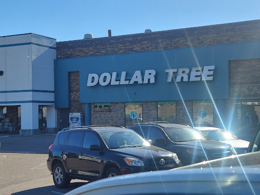 Dollar Store «Dollar Tree», reviews and photos, 4350 Central Ave NE, Columbia Heights, MN 55421, USA