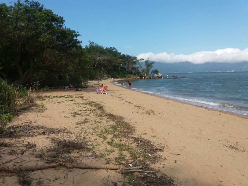 Foto van Praia do Cedro met helder zand oppervlakte