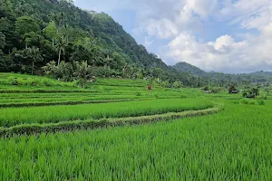 Sidemen Rice Terrace image