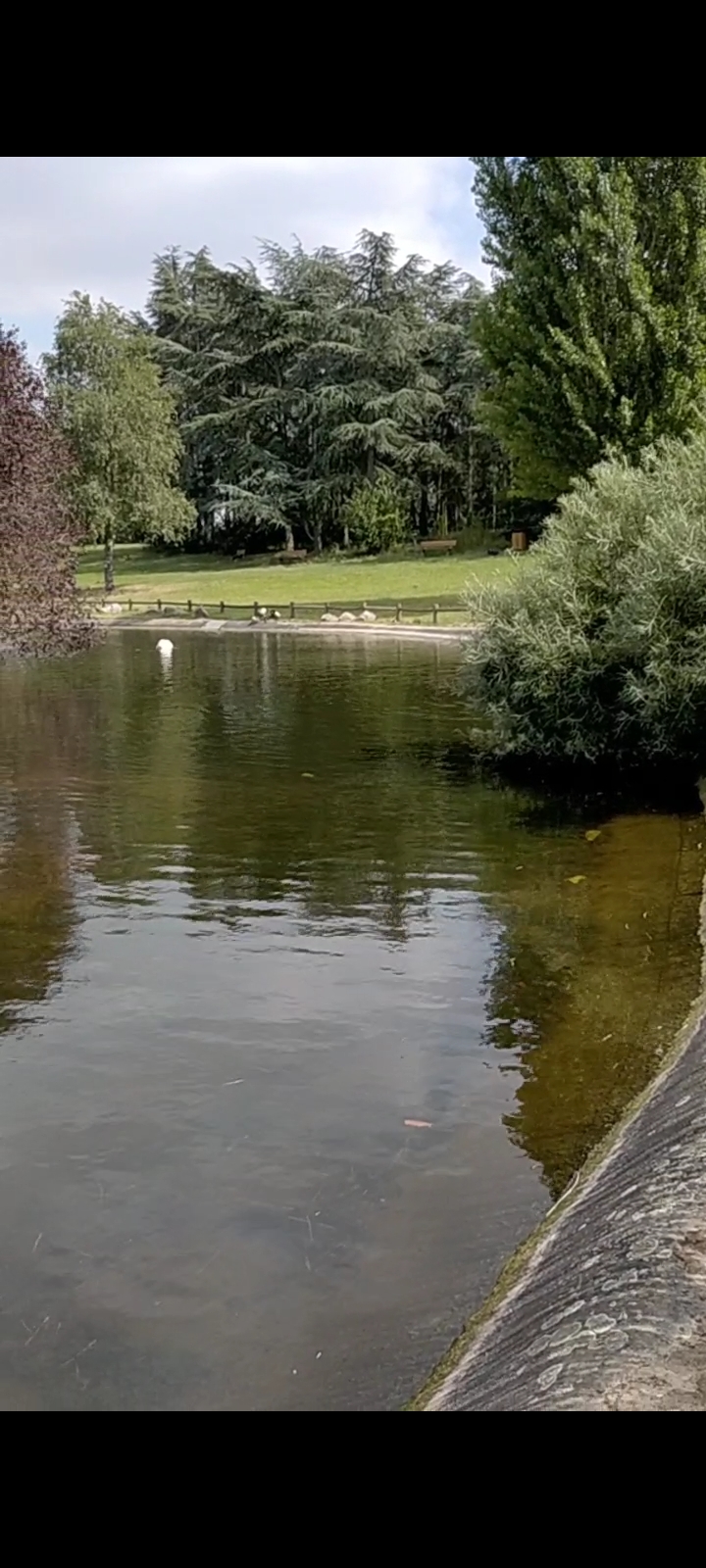 Photo n° 17 de l'avis de Muskan.e fait le 19/08/2021 à 00:44