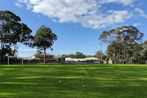 Ted Horwood Reserve image