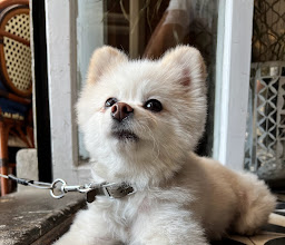 La Corriente Cevicheria Nais photo