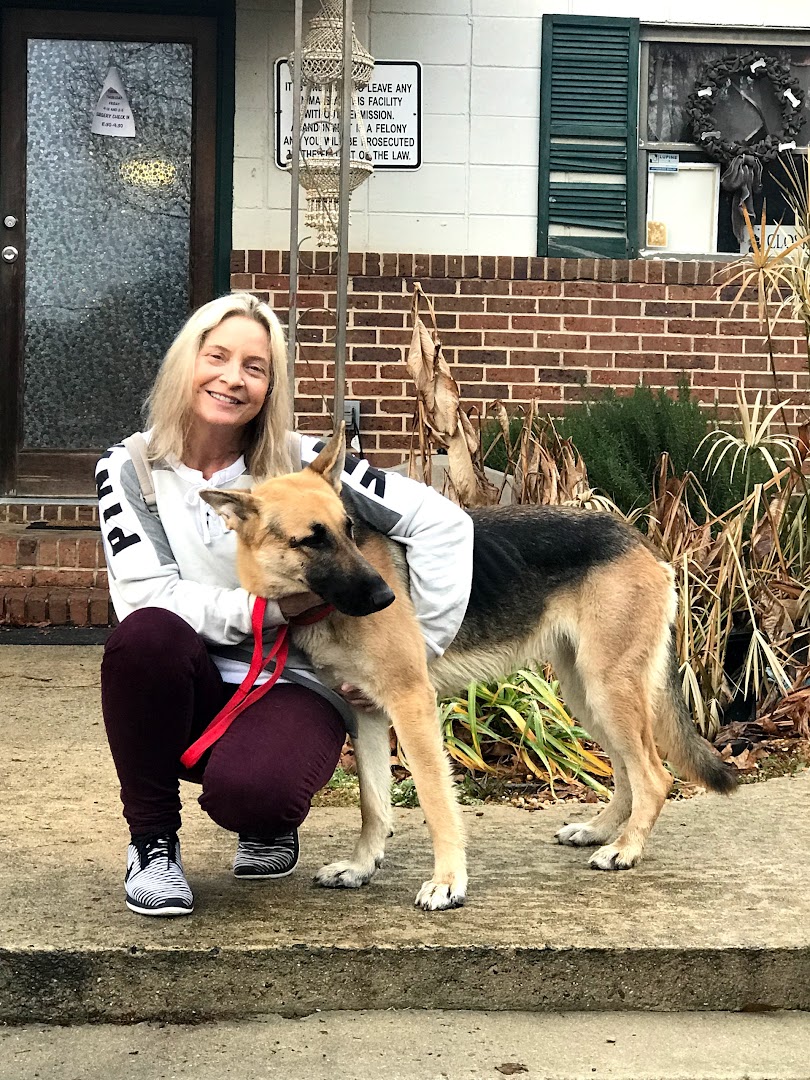 Ga Canine Rescue Rehab