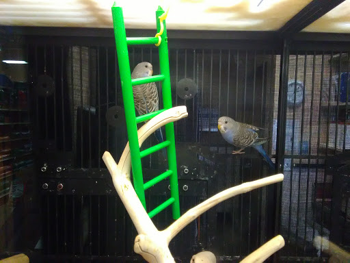 Pet Supply Store «PetSmart», reviews and photos, 1391 S Commons Dr, Myrtle Beach, SC 29588, USA