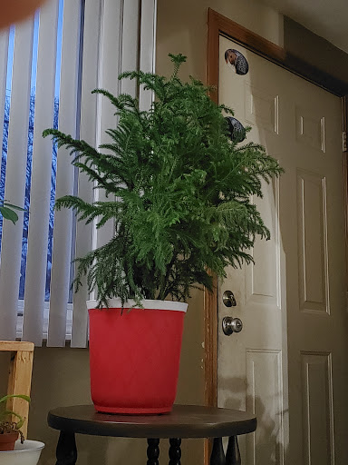 Home Improvement Store «The Home Depot», reviews and photos, 371 Putnam Pike, Smithfield, RI 02917, USA