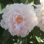 Photo n°4 de l'avis de Angela.o fait le 05/07/2018 à 07:12 sur le  Hotel Teiserhof à Villnöß