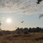 Photo n°1 de l'avis de Elisabeth.l fait le 21/09/2019 à 15:05 sur le  Reisemobilpark Sagter-Ems à Saterland