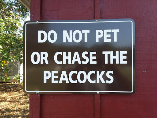 Amusement Park «Adventure Park At Grants Mill», reviews and photos, 5405 Beacon Dr, Irondale, AL 35210, USA