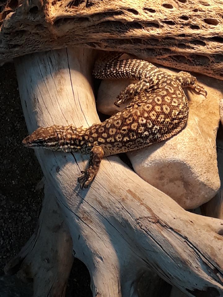 Photo n° 4 de l'avis de lorenzo.l fait le 28/12/2017 à 17:19