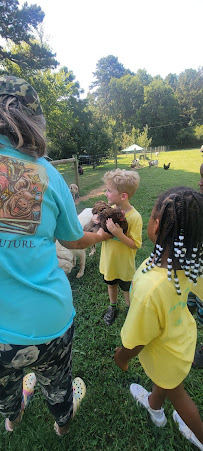 Sunshine House of Charlotte at Davis Lake Parkway - Photo 5 - Car repair in Charlotte, NC, Charlotte