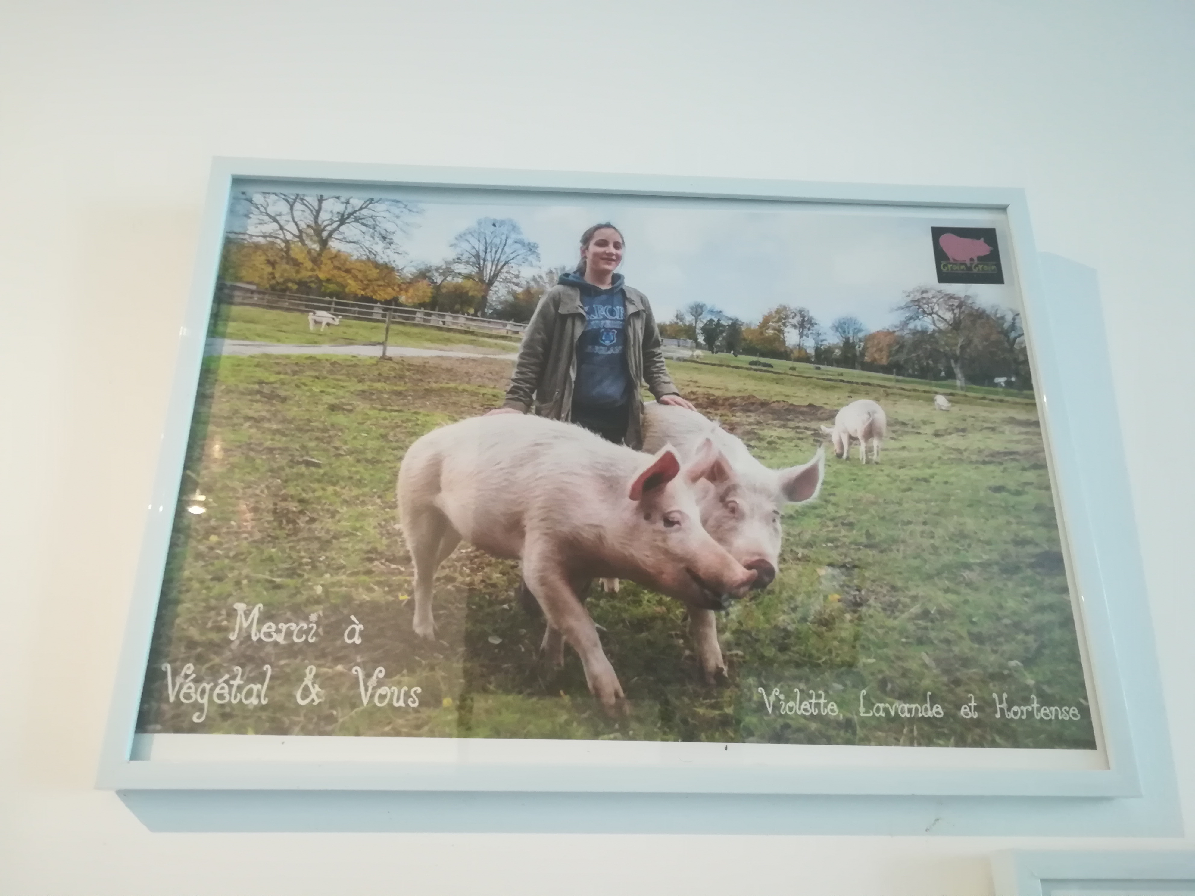 Photo n° 20 de l'avis de Nathalie.e fait le 02/08/2019 à 10:51