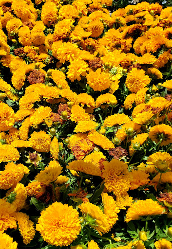 Home Improvement Store «The Home Depot», reviews and photos, 1451 W Foothill Blvd, Rialto, CA 92376, USA