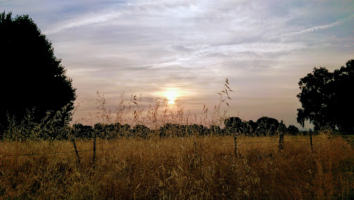 Park «Anderson River Park», reviews and photos