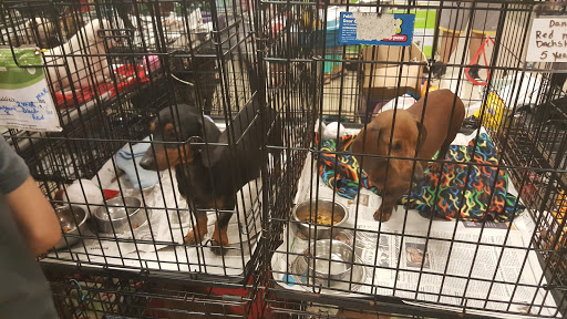 Pet Supply Store «PetSmart», reviews and photos, 5214 Blanche Moore Dr, Corpus Christi, TX 78411, USA