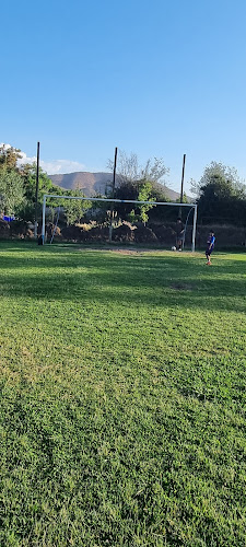 Cancha San Carlos