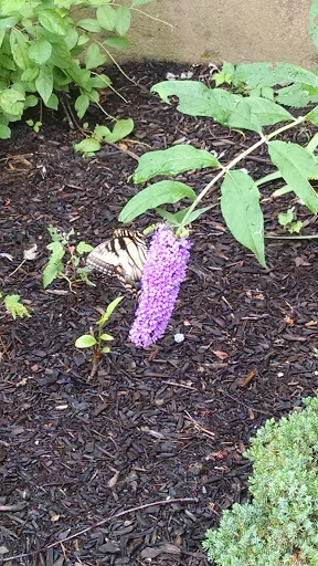 Vineyard «Unionville Vineyards», reviews and photos, 9 Rocktown Rd, Ringoes, NJ 08551, USA