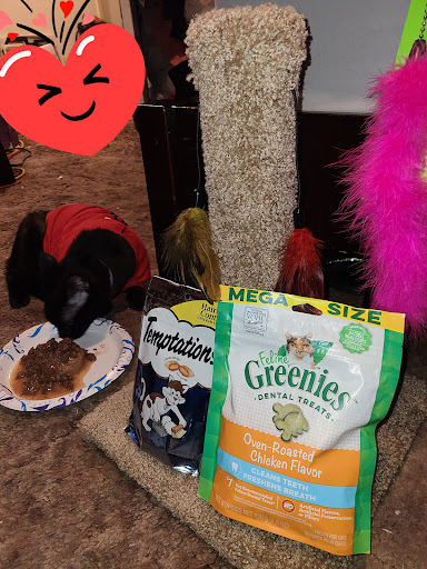 Pet Supply Store «Petco Animal Supplies», reviews and photos, 2765 Santa Rosa Ave, Santa Rosa, CA 95407, USA