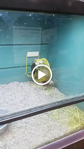 Pet Supply Store «Pet Valu Pet Store», reviews and photos, 2702 Smithville Rd, Dayton, OH 45420, USA