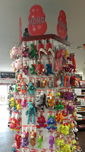 Pet Supply Store «Bay State Pet & Garden Supply», reviews and photos, 429 Winthrop St, Taunton, MA 02780, USA