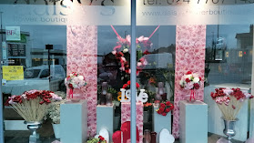 daisys flower boutique