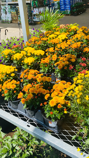 Home Improvement Store «The Home Depot», reviews and photos, 1326 Londontown Blvd, Sykesville, MD 21784, USA