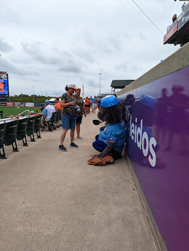 Stadium «Ripken Stadium», reviews and photos, 873 Long Dr, Aberdeen, MD 21001, USA