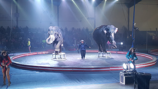 Stadium «Ardean Aafedt Stadium», reviews and photos, 1002 11th St W, Williston, ND 58802, USA