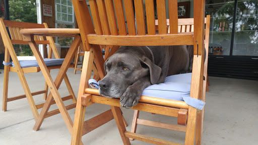 Winery «Persimmon Ridge Winery», reviews and photos, 7272 Sheppard Dr, Barnhart, MO 63012, USA