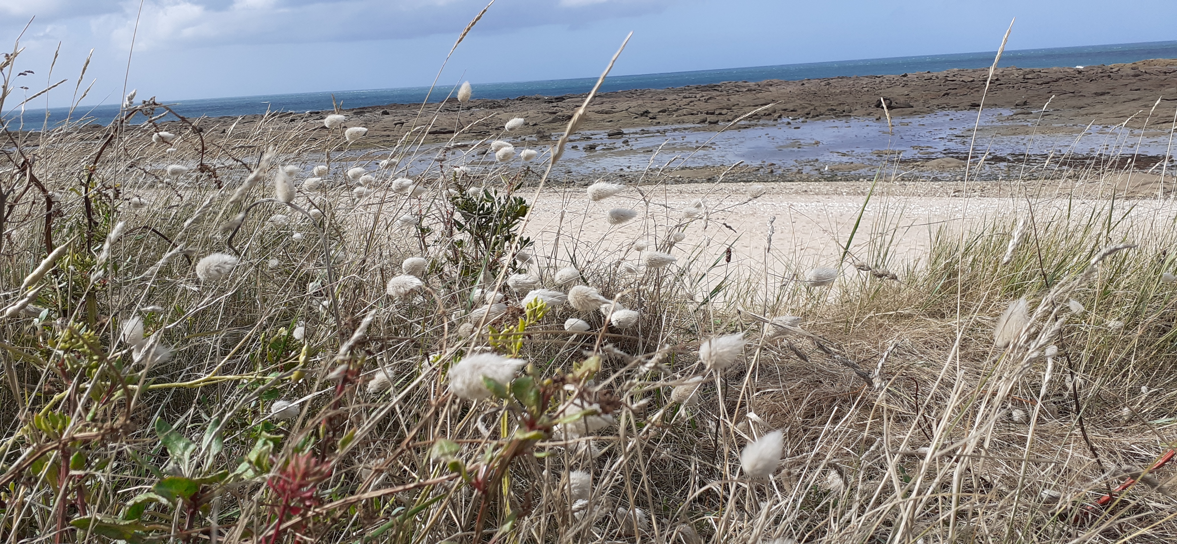 Photo n° 3 de l'avis de didier.a fait le 22/08/2020 à 05:16