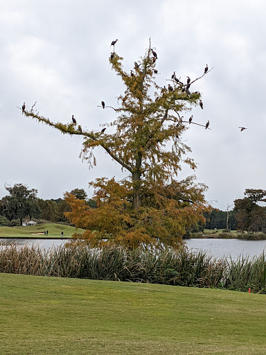 Golf Club «True Blue Golf Plantation», reviews and photos, 900 Blue Stem Dr, Pawleys Island, SC 29585, USA