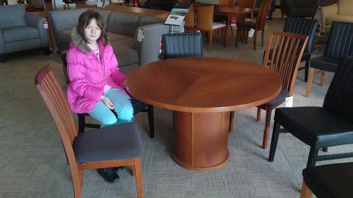 Furniture Store «Dania», reviews and photos, 1001 Skokie Blvd, Northbrook, IL 60062, USA