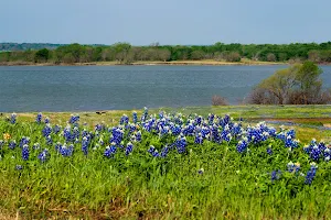 Meadow View Nature Area image