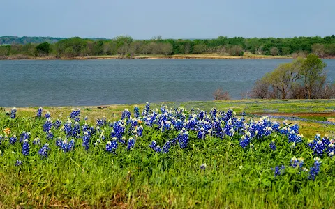 Meadow View Nature Area image