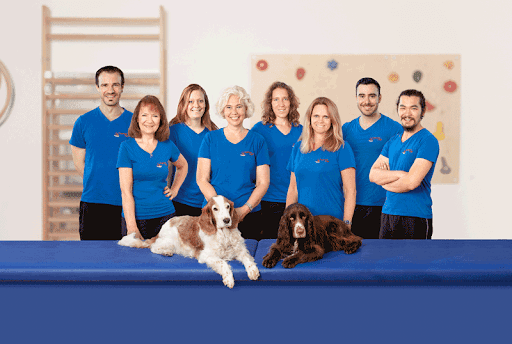 Physiotherapie PhysioTeam Jager