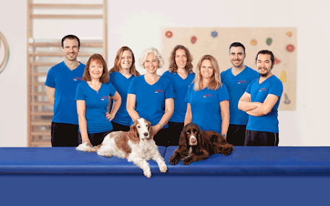 Physiotherapie PhysioTeam Jager image