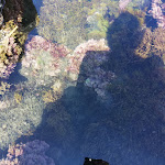 Photo n°3 de l'avis de Maura.o fait le 18/05/2018 à 16:02 sur le  Tapas Beach Imperia à Imperia