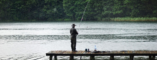 Alabama Fish And Pond