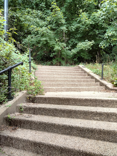 Dog Park «Forest Park Dog Run», reviews and photos, 8445 Park Ln S, Woodhaven, NY 11421, USA