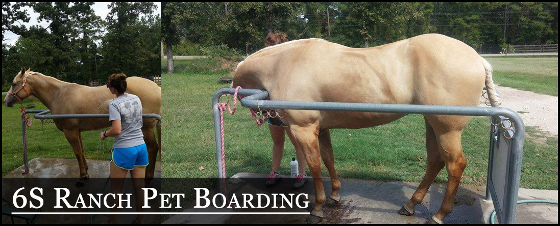 6S Ranch Pet Boarding
