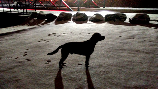 Park «River Fest Park», reviews and photos, 249 Ohio St, Buffalo, NY 14204, USA