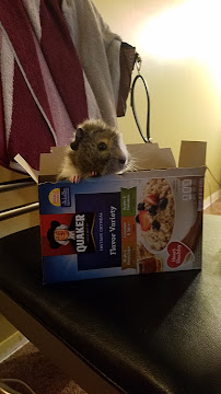 Petco - Photo 5 - Car repair in Halethorpe, MD, Baltimore