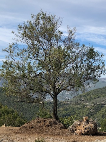 Photo n° 1 de l'avis de Cyril.A fait le 02/10/2022 à 10:44