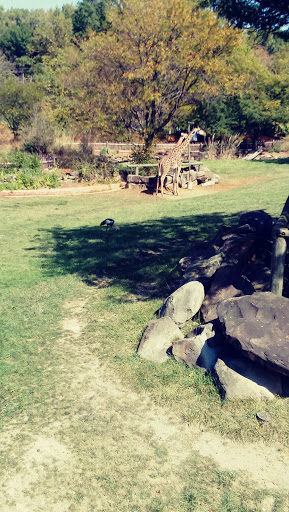 Zoo «Cleveland Metroparks Zoo», reviews and photos, 3900 Wildlife Way, Cleveland, OH 44109, USA