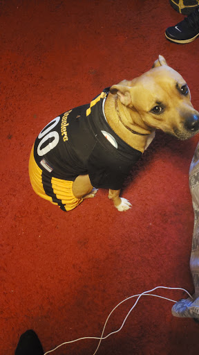 Pet Supply Store «Petco», reviews and photos, 590 E Waterfront Dr, Homestead, PA 15120, USA