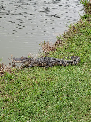 Public Golf Course «Aroostook Golf Course», reviews and photos, 1501 Dozier Rd, Montgomery, AL 36117, USA