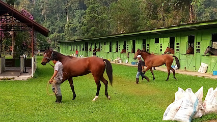 Racehorse Spelling Station Sdn. Bhd.